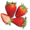 SunCountry Fundraising - strawberry icon